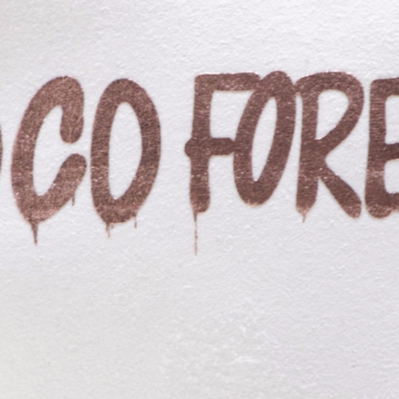 Chanel Coco Forever Cosmetic Zip Pouch with Chain Strap - Picture 4 of 6